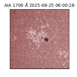 saia - 2025-08-25T06:00:28.744000