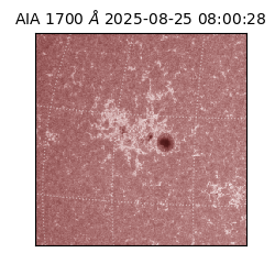 saia - 2025-08-25T08:00:28.719000