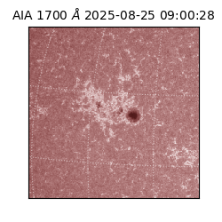 saia - 2025-08-25T09:00:28.717000