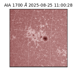 saia - 2025-08-25T11:00:28.717000