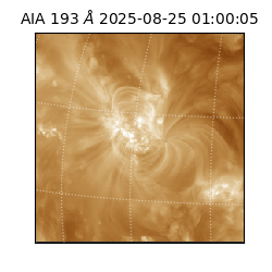 saia - 2025-08-25T01:00:05.232000