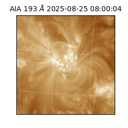 saia - 2025-08-25T08:00:04.843000