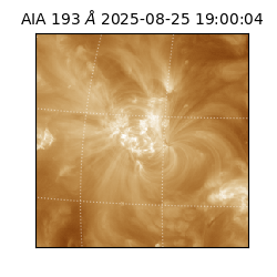 saia - 2025-08-25T19:00:04.843000