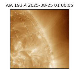 saia - 2025-08-25T01:00:05.232000