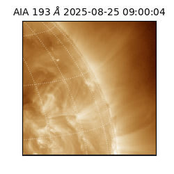 saia - 2025-08-25T09:00:04.846000
