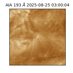 saia - 2025-08-25T03:00:04.843000