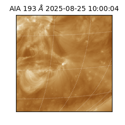 saia - 2025-08-25T10:00:04.844000