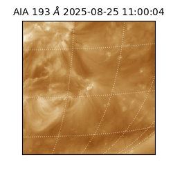 saia - 2025-08-25T11:00:04.843000