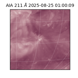 saia - 2025-08-25T01:00:09.626000