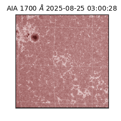 saia - 2025-08-25T03:00:28.720000