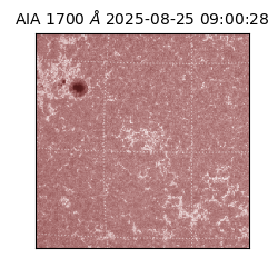 saia - 2025-08-25T09:00:28.717000