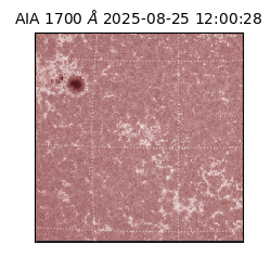 saia - 2025-08-25T12:00:28.717000