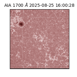 saia - 2025-08-25T16:00:28.717000