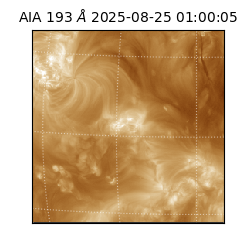 saia - 2025-08-25T01:00:05.232000