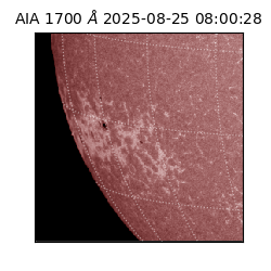 saia - 2025-08-25T08:00:28.719000