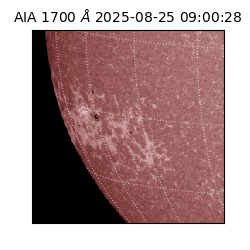 saia - 2025-08-25T09:00:28.717000