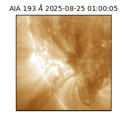 saia - 2025-08-25T01:00:05.232000