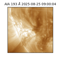 saia - 2025-08-25T09:00:04.846000