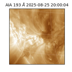 saia - 2025-08-25T20:00:04.843000