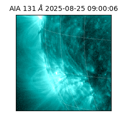 saia - 2025-08-25T09:00:06.622000