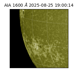 saia - 2025-08-25T19:00:14.126000