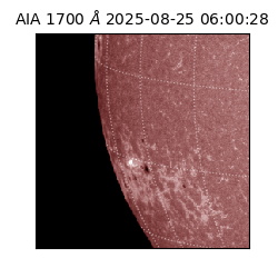 saia - 2025-08-25T06:00:28.744000