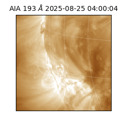 saia - 2025-08-25T04:00:04.843000