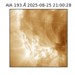 saia - 2025-08-25T21:00:28.843000