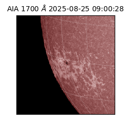 saia - 2025-08-25T09:00:28.717000