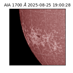 saia - 2025-08-25T19:00:28.718000