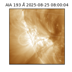 saia - 2025-08-25T08:00:04.843000