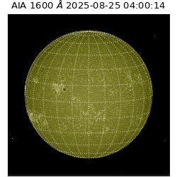 saia - 2025-08-25T04:00:14.126000