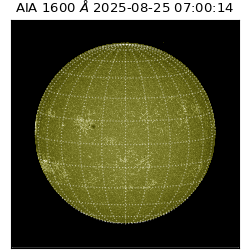 saia - 2025-08-25T07:00:14.125000