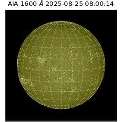 saia - 2025-08-25T08:00:14.125000