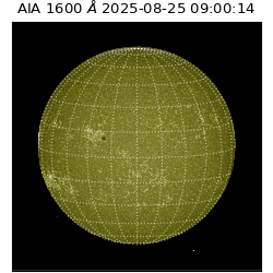 saia - 2025-08-25T09:00:14.126000