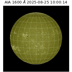 saia - 2025-08-25T10:00:14.126000