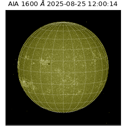 saia - 2025-08-25T12:00:14.126000