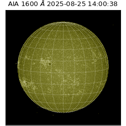 saia - 2025-08-25T14:00:38.131000