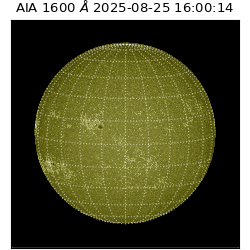 saia - 2025-08-25T16:00:14.126000