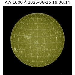 saia - 2025-08-25T19:00:14.126000