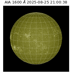 saia - 2025-08-25T21:00:38.125000