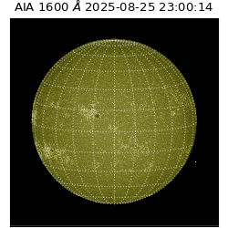 saia - 2025-08-25T23:00:14.126000