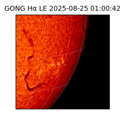 gong - 2025-08-25T01:00:42