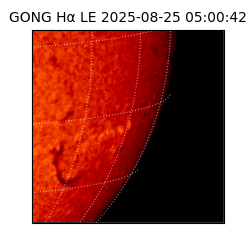gong - 2025-08-25T05:00:42