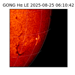 gong - 2025-08-25T06:10:42