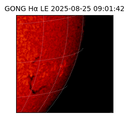 gong - 2025-08-25T09:01:42