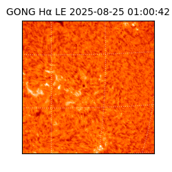 gong - 2025-08-25T01:00:42