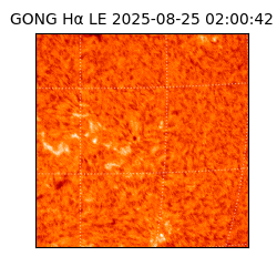 gong - 2025-08-25T02:00:42