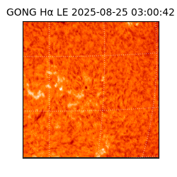 gong - 2025-08-25T03:00:42