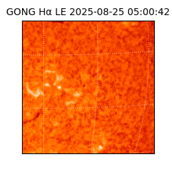 gong - 2025-08-25T05:00:42